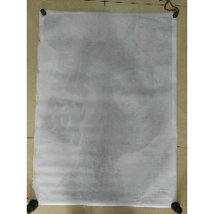 普林斯顿大学毕业证哪里能办